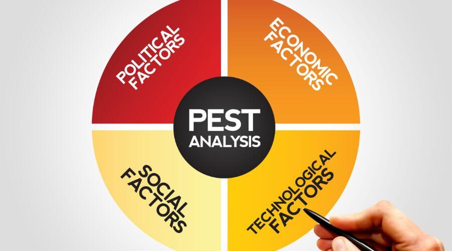Professional pest control services in Box Hill, Melbourne